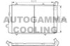 AUTOGAMMA 100761 Radiator, engine cooling